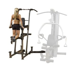 Body-Solid Weight Assisted Dip Pull-Up Station [FCDWA]