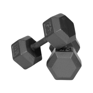 Troy Solid Hex Dumbbells [IHD]